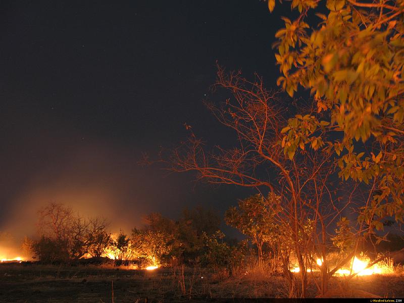 11-5545.jpg - Buschbrand in der Nacht in der Nähe unseres Lagers  ist jedoch nicht gefährlich für uns. Wir freuen uns darüber, weil wir dadurch kein Lagerfeuer brauchen.