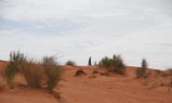 picture thumbnail