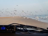 ../thumbnails/035-20170101_181528.jpeg.small.jpeg