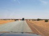 ../thumbnails/038-20170102_133138.jpeg.small.jpeg