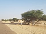 ../thumbnails/039-20170102_165306.jpeg.small.jpeg