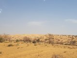 ../thumbnails/058-20170104_145230.jpeg.small.jpeg