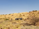 ../thumbnails/061-20170104_151524.jpeg.small.jpeg