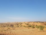 ../thumbnails/064-20170104_162210.jpeg.small.jpeg