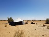 ../thumbnails/071-20170105_114343.jpeg.small.jpeg