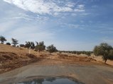 ../thumbnails/073-20170106_102055.jpeg.small.jpeg