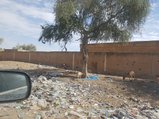 ../thumbnails/074-20170106_103739.jpeg.small.jpeg