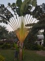 ../thumbnails/113-20170112_185909_001.jpeg.small.jpeg