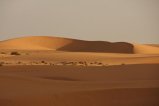 001-IMG_4184.JPG.small.jpeg