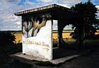 1998-Kasachstan-aufdemWegnachChina.jpg