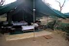 2006-Kenia-Serengeti2.jpg